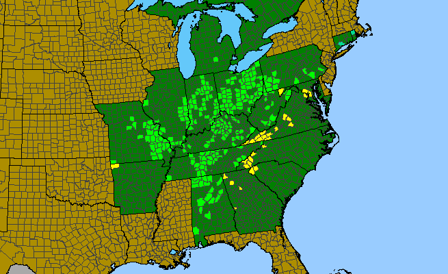 The range of Phacelia purshii